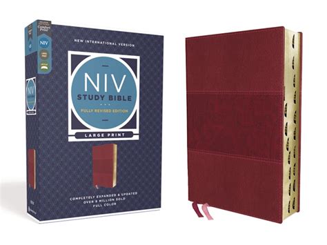 is niv bible catholic